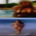 Fuck shemale non-sense