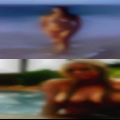 Couple sexy hamster horny